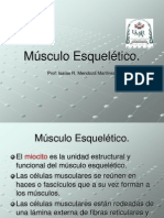 2.Músculo Esquelético.ppt