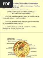 1 morfologia bacteriana [2]