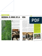 MORINGA.pdf