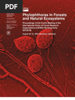 Espécies de Pytophoras