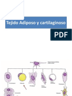 TEJIDO ADIPSO Y CARTILAGINOSO.pdf