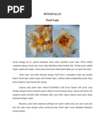 Download PENGENALAN Pastry Lapis by Nur Amirah Ruslan SN128293004 doc pdf