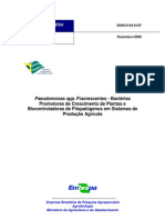 Pseudomonas spp - Bactérias Promotoras de crescimento de plantas e biocontroladoras de Fitopatógenos em sistemas de produção agrícola