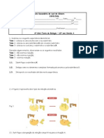 12 Biologia 06 Miniteste Versao A