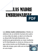 Células madre embrionarias: obtención, usos y debate ético