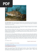 Download Budi Daya Ikan Betutu by Eka Priadi SN128311517 doc pdf