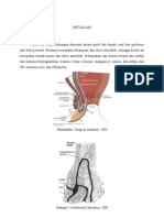 Fistula Ani