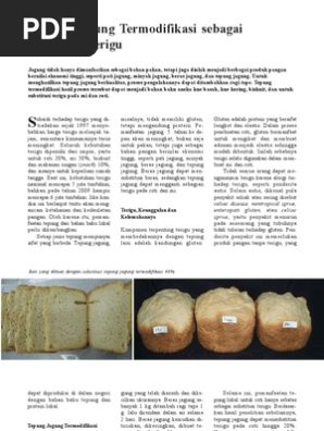 Wr326102 Tepung Jagung Termodifikasi Sebagai Pengganti Terigu Pdf