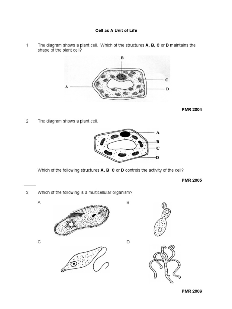 Sains Tingkatan 1 (Bab 2)  Tissue (Biology)  Cell (Biology)