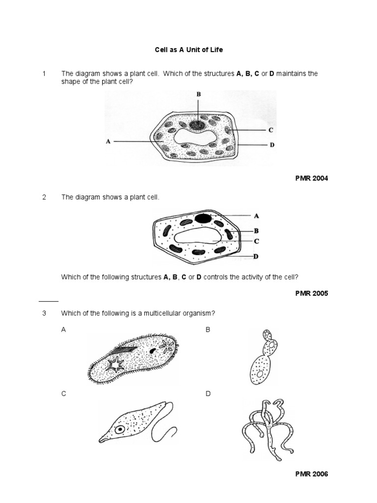 Sains Tingkatan 1 Bab 2 Tissue Biology Cell Biology