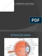 Indera Penglihatan (Mata)