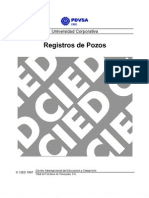 Manual Registros de Pozos - PDVSA CIED