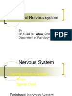 Disease of Nervous System Lect 2