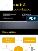 Thermoregulation Presentation