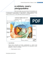 Fosa Orbitaria, Nasal y Pterigopalatina: Anatomía Esquemática. Cabeza y Cuello