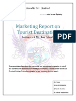 Marketing Report 