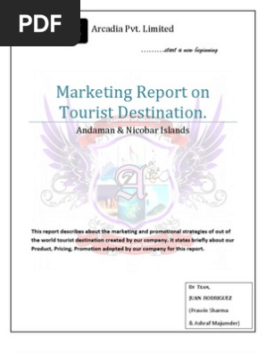 Marketing Report 