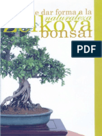 Bonsai - La Zelkova