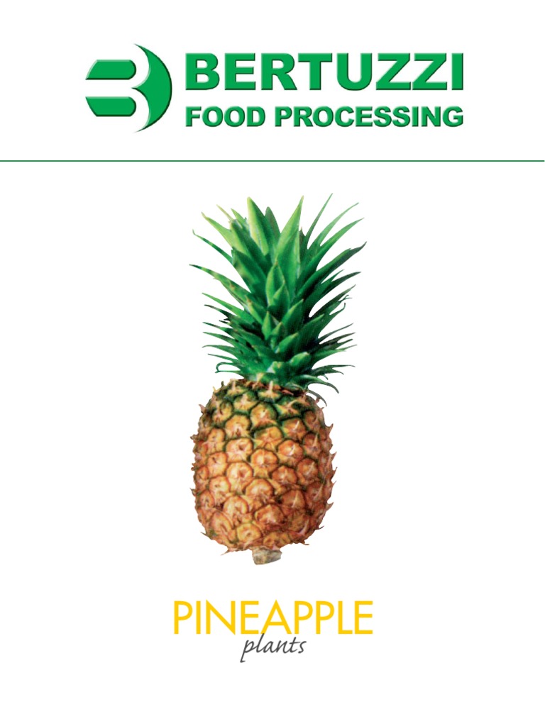 Pineapple Processing Solutions | PDF | Home & Garden | Wellness