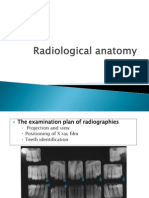 Anatomie Radiologica 1
