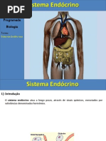 1 Aula Sistema Endocrino.ppt