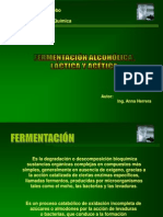 fermentacionesindustriales-090601171203-phpapp01