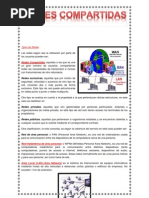Download Redes Compartidas by Kevin Bryams Moquillaza Levano SN128436870 doc pdf