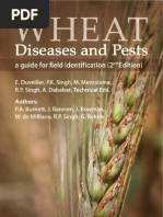 Download Wheat diseases and pests a guide for field identification by International Maize and Wheat Improvement Center SN128458848 doc pdf