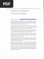 CÉLULAS DO SISTEMA NERVOSO (John Kiernan)