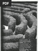 Sociologia 1º ano P1