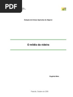 RT_Mildiodavideira.pdf
