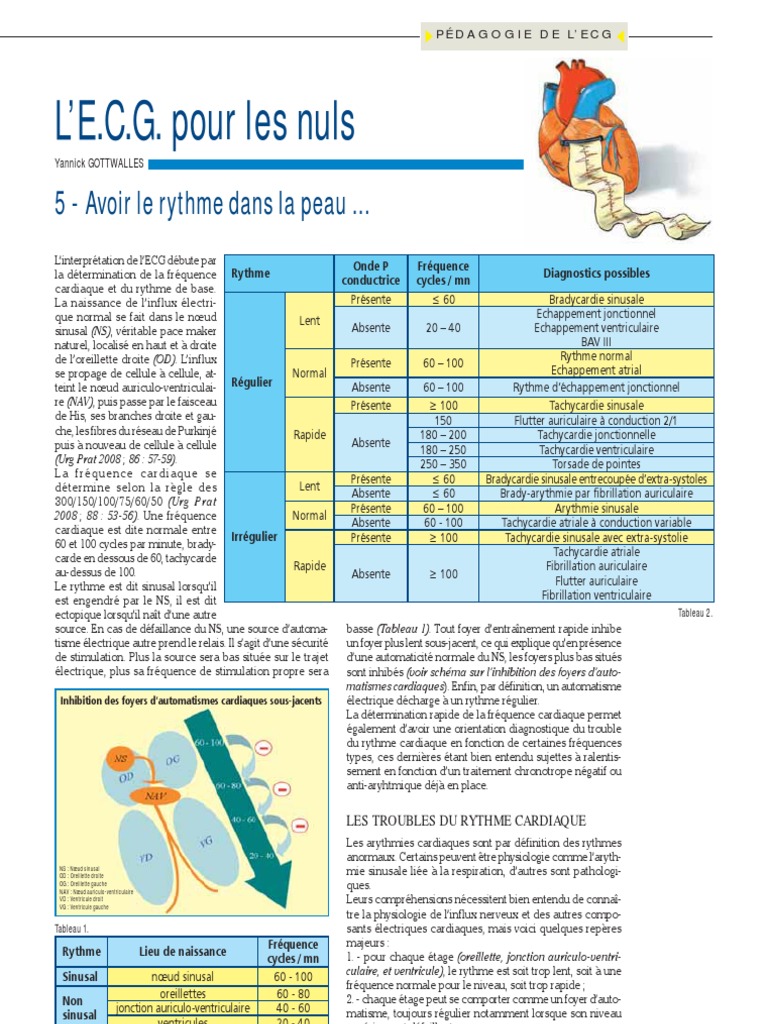 Troubles du rythme cardiaque expliqués | PDF | Arythmie cardiaque ...