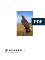 El Aguila Real