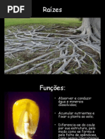 78689_20071121040053