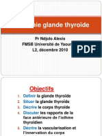 Anatomie glande thyroïde