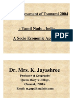 Tsunami Investigation Reports