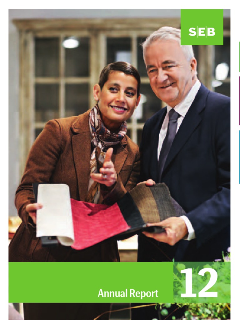 Seb Investment Management Ab Annual Report 2024 – MWFP