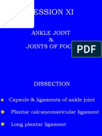 Session Xi: Ankle Joint & Joints of Foot