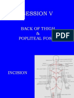 Session V: Back of Thigh & Popliteal Fossa