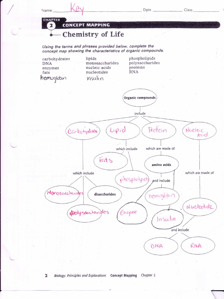 worksheet Chapter 2 The Chemistry Of Life Worksheet Answers chemistry of life chapter 2 biochemistry carbohydrates