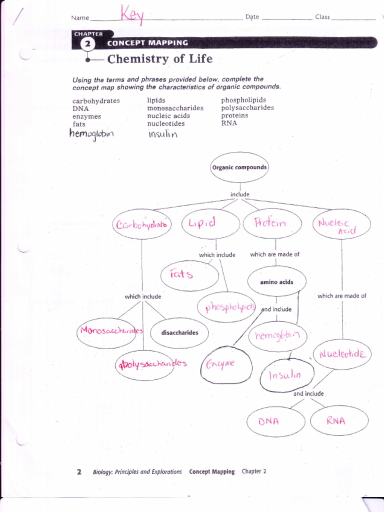 Chemistry Of Life Chapter 2 Biochemistry Carbohydrates Free