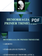 Hemoorragia Del Primer Trimestre Exposicion Del Dr. Calderon 8 Semana