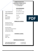 Curriculum Vitae Andrea Francisca Pineda Lopez