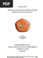 Download Isolasi Dan Karakterisasi Fenolik Dari Patikan Cina by Cici P Rahmawati SN128656051 doc pdf
