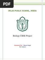 Download Project Report on Assisted Reproductive Technologies by Vijay Singh SN128662288 doc pdf
