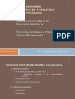 Fideicomiso Inmobiliario PDF
