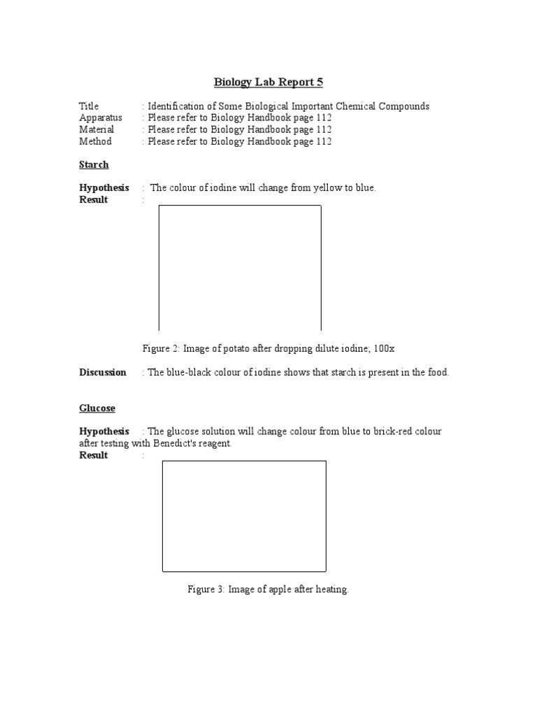 Bio 5 lab report picture