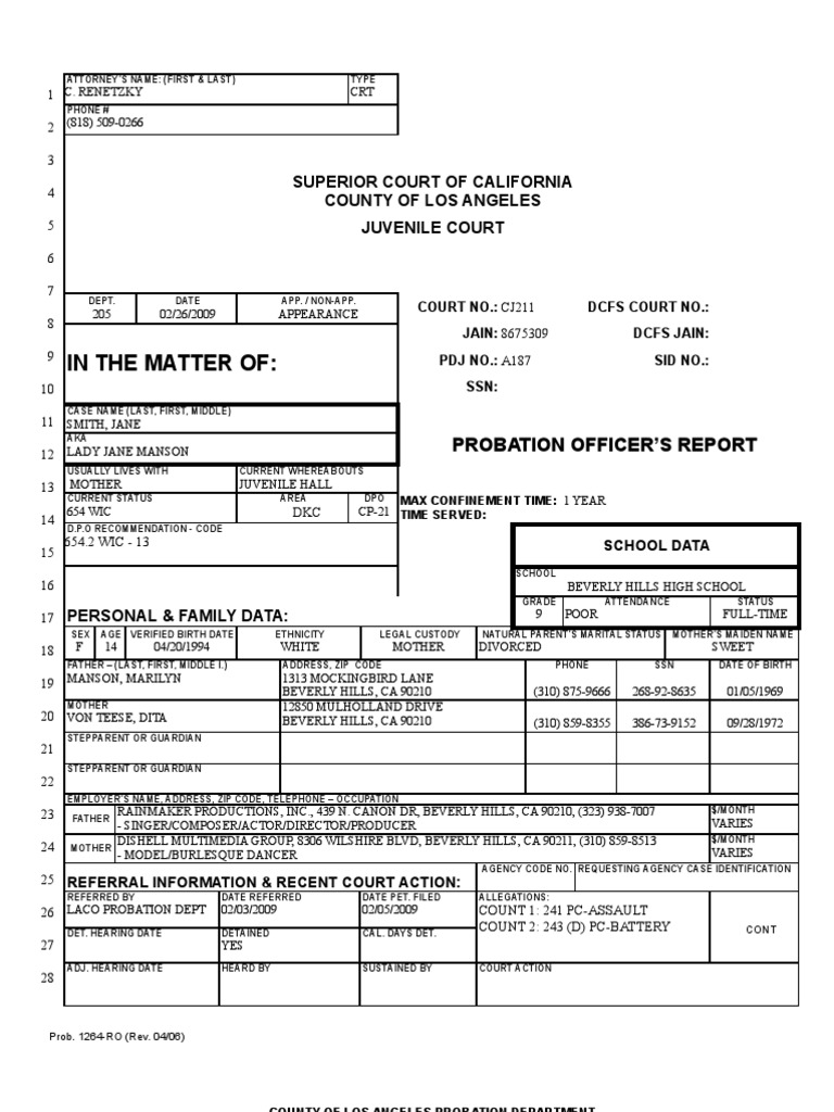 PSI Report Sample  PDF  Psychotherapy  Mental Disorder For Presentence Investigation Report Template