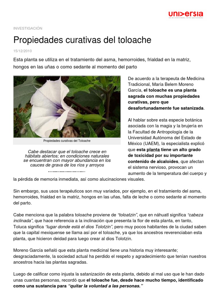 Propiedades Curativas Toloache | PDF | Plantas | México