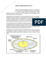 Desarrollo Embrionario Del Pollo